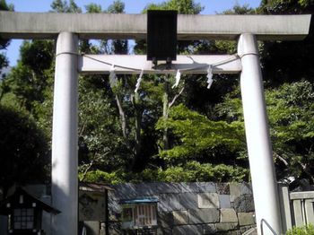 乃木神社 (2).JPG